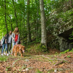 4 - Sentiero dei faggi | © Azienda per il Turismo Alpe Cimbra