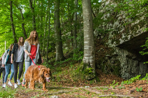 Schützengräben-Weg in Nosellari | © Azienda per il Turismo Alpe Cimbra