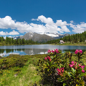 Little church on the shores of Lake San Giuliano | © APT Madonna di Campiglio, Pinzolo, Val Rendena