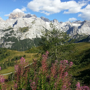Dolomites of Brenta from Doss del Sabion | © APT Madonna di Campiglio, Pinzolo, Val Rendena