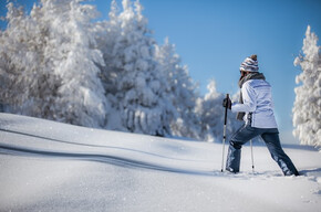 Sentiero ciaspole - Alla Bassa | © APT Valsugana e Lagorai