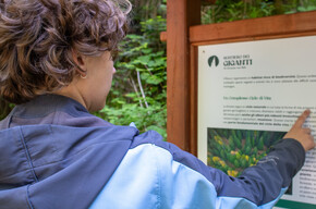 I Giganti del Bosco – DIE GIGANTEN DES WALDES | © Azienda per il Turismo Alpe Cimbra