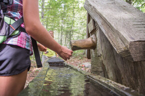 Sentiero delle Sorgenti - The sources pa | © Azienda per il Turismo Alpe Cimbra