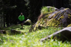 Ces Trail | © APT San Martino di Castrozza, Primiero e Vanoi