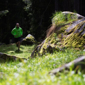 Ces Trail | © APT San Martino di Castrozza, Primiero e Vanoi