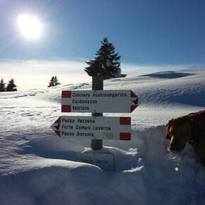 Snowshoe trail - The Vezzena plateau | © APT Valsugana e Lagorai