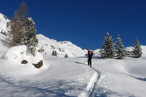 Sulla strada | © APT Fiemme Cembra