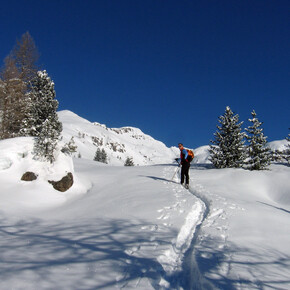 Sulla strada | © APT Fiemme Cembra