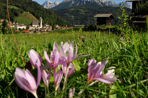 Family Green Way Primiero Loop | © APT San Martino di Castrozza, Primiero e Vanoi
