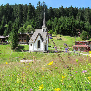 Spaziergang zum Monte Vederna – Croce degli Alpini | © VisitTrentino