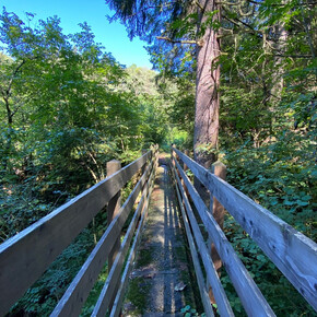 Lez di Dambel, flat walk in Val di Non | © APT Val di Non 