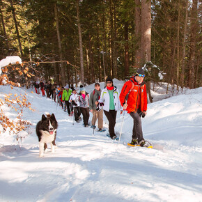 Schneeschuhwanderung | © APT Dolomiti di Brenta e Paganella