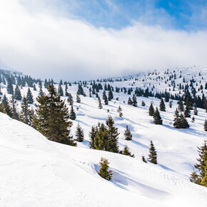 Winter | © APT Dolomiti di Brenta e Paganella