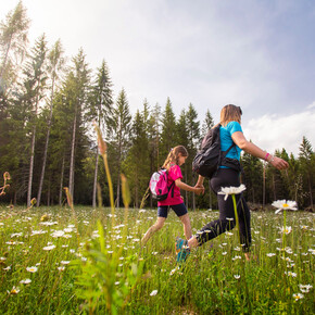 Along the route to the Stoat's Den | © APT Dolomiti di Brenta e Paganella