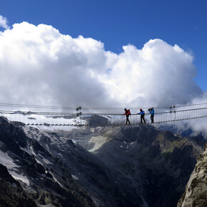 Sentiero dei Fiori «Flower Route» | © APT Valli di Sole, Peio e Rabbi