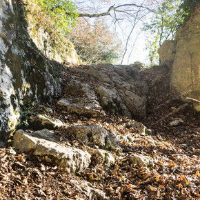Ein Beispiel des Terrains auf dem 409B Trail | © Garda Trentino 