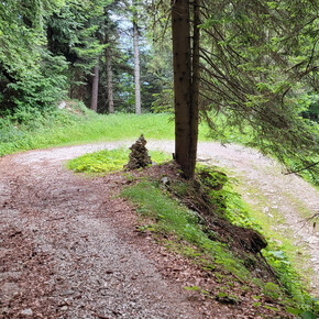 Picosta 2302A Haarnadelkurve im Anstieg | © APT Valsugana e Lagorai