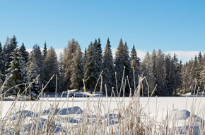 Schneeschuhtour rund um den Lago di Tret über den Doss de Solomp | © APT Val di Non 