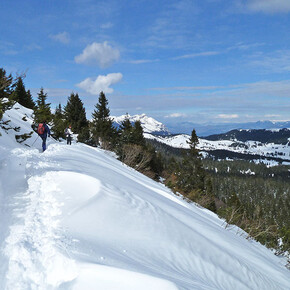 Return from Monte Maggio | © Unknown