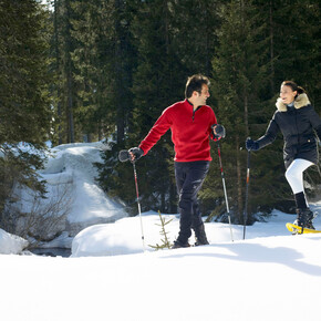 Panoramaweg "dei Siori" | © Madonna di Campiglio Azienda per il Turismo 