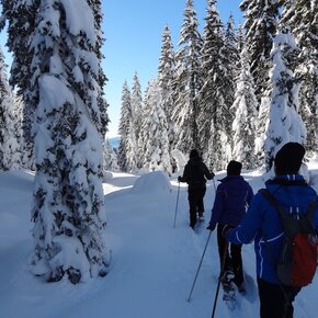 Snowshoeing excursion to Forte Clemp | © APT Madonna di Campiglio, Pinzolo, Val Rendena