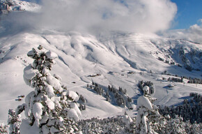 Pampeago und Latemar | © APT Fiemme Cembra