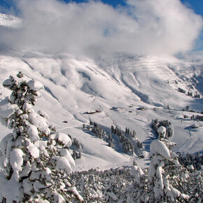 Pampeago and Latemar | © APT Fiemme Cembra