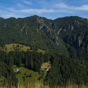 Alpo | © Madonna di Campiglio Azienda per il Turismo 