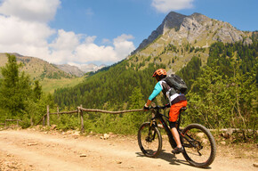 Ribor Wild - 1102 | © Madonna di Campiglio Azienda per il Turismo 