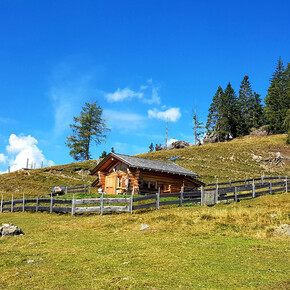 Bait de le Vache | © APT Fiemme Cembra