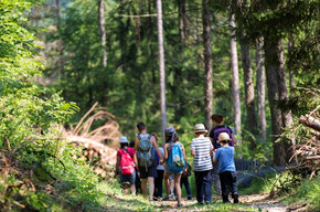 Walking in the woods of Terragnolo | © APT Rovereto Vallagarina Monte Baldo