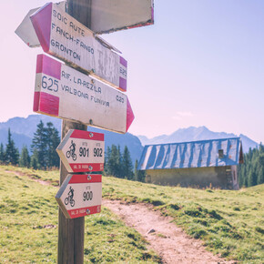 Alpe Lusia - La Rezila - Colvere - ©Archivio APT Val di Fassa | © APT Val di Fassa