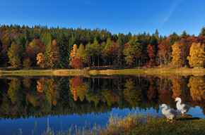 Lago Santo | © Consorzio Turistico Rotaliana Königsberg