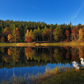 Lago Santo | © Consorzio Turistico Rotaliana Königsberg