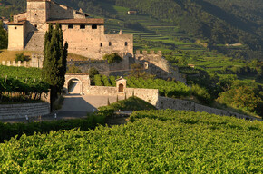Along the Merlot wine route | © APT Rovereto Vallagarina Monte Baldo