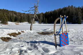 Discesa in slitta da Malga San Felice | © APT Val di Non Soc. Coop.