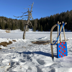 Discesa in slitta da Malga San Felice | © APT Val di Non Soc. Coop.