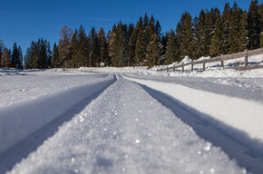 Centro Fondo Millegrobbe - Millegrobbe di sopra | © Azienda per il Turismo Alpe Cimbra