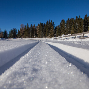 Centro Fondo Millegrobbe - Millegrobbe di sopra | © Azienda per il Turismo Alpe Cimbra