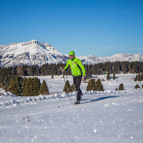Centro Fondo Millegrobbe - Anello di 15 km | © Azienda per il Turismo Alpe Cimbra