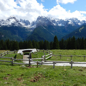 Patascoss - Malga Ritort Walk | © Madonna di Campiglio Azienda per il Turismo 