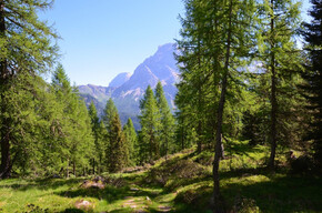 Ökologischer Weg | © APT San Martino di Castrozza, Primiero e Vanoi