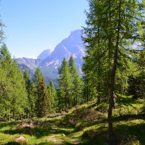 Ecological path | © APT San Martino di Castrozza, Primiero e Vanoi