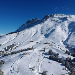 Pampeago toboggan run | © APT Fiemme Cembra
