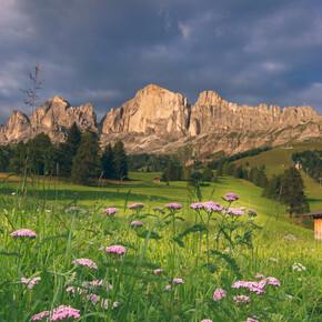 Passo Carezza/Costalunga - Catinaccio ©Archivio APT Val di Fassa | © APT Val di Fassa