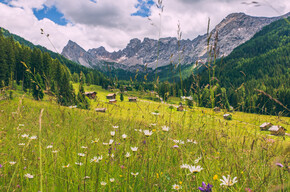 Val San Nicolò - Pozza ©Archivio APT Val di Fassa | © APT Val di Fassa