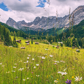 Val San Nicolò - Pozza ©Archivio APT Val di Fassa | © APT Val di Fassa