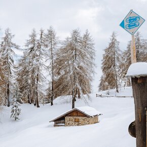 Route with snowshoes among the mountain huts of Bolentina | © APT Valli di Sole, Peio e Rabbi