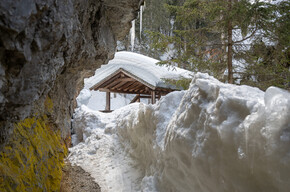 Pont del Pastin, Schneeschuhwanderung im Val Meledrio | © APT Valli di Sole, Peio e Rabbi