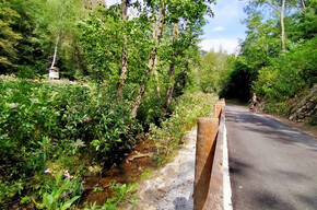 Mit Kinderwagen oder zu Fuß von Loc. Ferrari nach Montagnaga | © APT Trento 